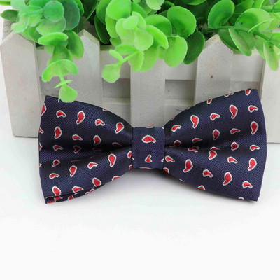 Klasikinės žvaigždės mados peteliškės jaunikis Vyrai Spalvingi šuo Cravat tinklelis Vyriški vedybos drugeliai vestuviniai peteliškės