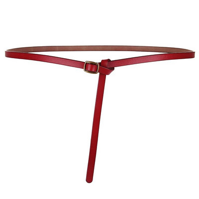 Tikras moteriškas diržas, madinga moteriška suknele, palto aksesuarai, dizaino prabangus