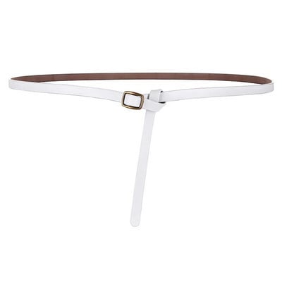 Tikras moteriškas diržas, madinga moteriška suknele, palto aksesuarai, dizaino prabangus