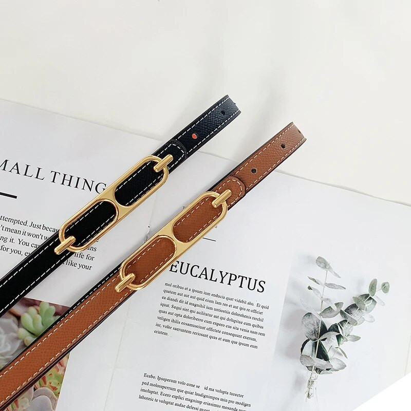 Zlatna kopča PU kožni tanki remeni za žene Dvostrano nošenje Podesivi remen Ženska haljina za djevojke Jean hlače Pojas