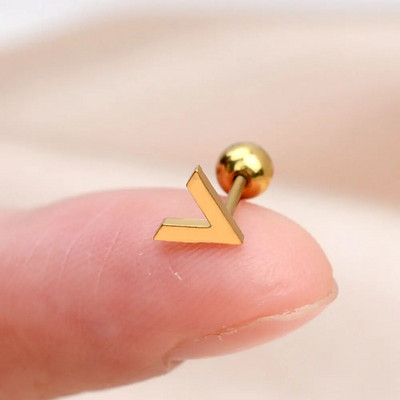 1Gb Nerūsējošā tērauda Mini Auskari Sirds Zvaigzne Mēness Krusts Tauriņš Čūska Helix Skrimslis Tragusa daivas ausu caurduršanas rotaslietas