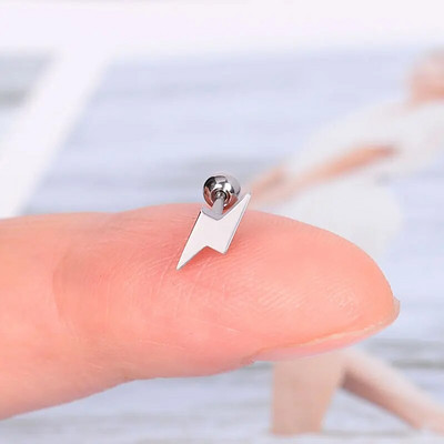 1Gb Nerūsējošā tērauda Mini Auskari Sirds Zvaigzne Mēness Krusts Tauriņš Čūska Helix Skrimslis Tragusa daivas ausu caurduršanas rotaslietas