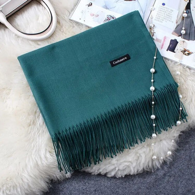 Κασμίρ Γυναικείο φουλάρι 2019 Νέο ζεστό σάλι Foulard Femme Pashmina Μαλλί μαλλί Κλεμμένο στο κεφάλι λαιμό Μακριά χειμωνιάτικα κασκόλ για γυναίκες