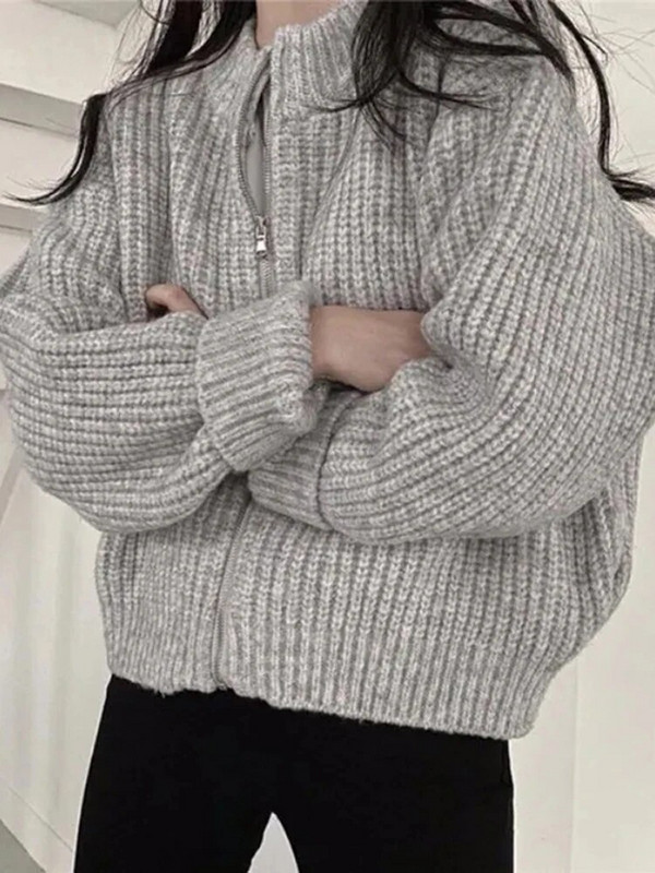 Jesen Zimski džemperi Ženski Harajuku skraćeni pleteni kardigan Ženski labavi kaput s patentnim zatvaračem dugih rukava Ženska ležerna jednobojna pletenina