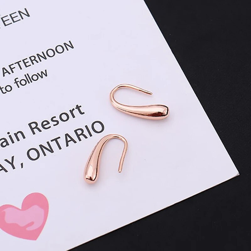 Foxanry minimālisma sudraba krāsas auskari sievietēm Moderni, eleganti, rozā zeltīti līgavas rotaslietas, kas novērš alerģiju