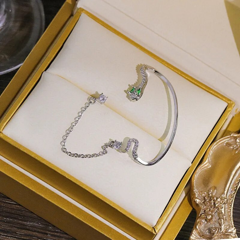 Fahion Cool Snake Shape Ear Stud Ear Cuff Sieviešu auskari Ausu kauli Klips Sievietēm Bijoux Juvelierizstrādājumi Dāvanu piegāde