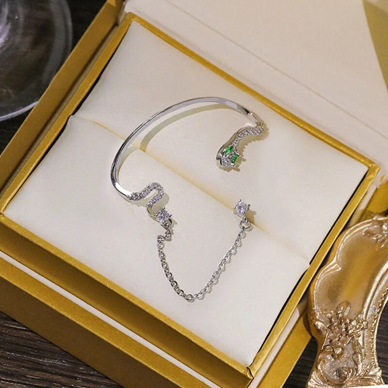 Fahion Cool Snake Shape Ear Stud Ear Cuff Sieviešu auskari Ausu kauli Klips Sievietēm Bijoux Juvelierizstrādājumi Dāvanu piegāde