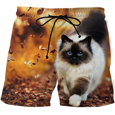 2021. nove kratke hlače sa životinjama i mačkama, modni harajuku 3D print, muški kupaći kostim, ležerne kratke hlače, muške ženske kratke hlače za plažu, kratke hlače za kupanje