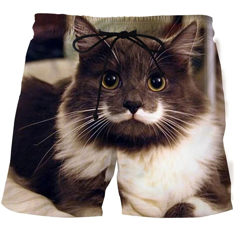 2021. nove kratke hlače sa životinjama i mačkama, modni harajuku 3D print, muški kupaći kostim, ležerne kratke hlače, muške ženske kratke hlače za plažu, kratke hlače za kupanje