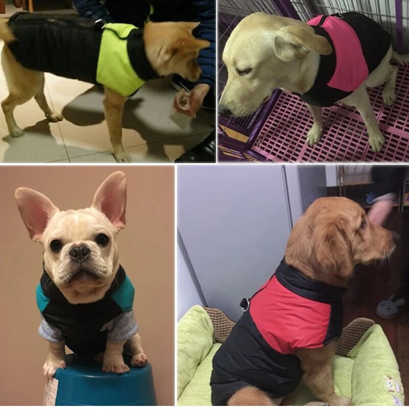8 größe S-5XL Winter Hund Kleidung Für Pet Wasserdichte Warme Große Hund Weste Katze Welpen Hund Ski Mäntel Jacken Grün /rot/Blau/Rosa