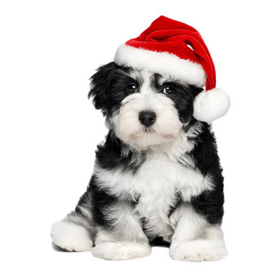 Three Ratels 1057 Jaukas 3D dzīvnieku uzlīmes Lauvas suns Dživa Rotaļu suns PVC mājsaimniecības dekorēšana sienas uzlīmes tualetes uzlīmes