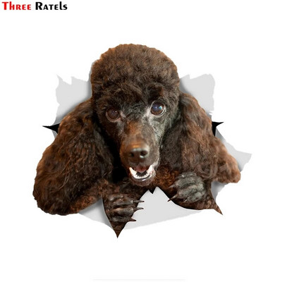 Three Ratels 1057 Jaukas 3D dzīvnieku uzlīmes Lauvas suns Dživa Rotaļu suns PVC mājsaimniecības dekorēšana sienas uzlīmes tualetes uzlīmes