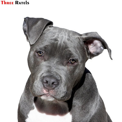 Three Ratels 1057 Jaukas 3D dzīvnieku uzlīmes Lauvas suns Dživa Rotaļu suns PVC mājsaimniecības dekorēšana sienas uzlīmes tualetes uzlīmes