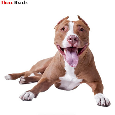 Three Ratels 1057 Jaukas 3D dzīvnieku uzlīmes Lauvas suns Dživa Rotaļu suns PVC mājsaimniecības dekorēšana sienas uzlīmes tualetes uzlīmes