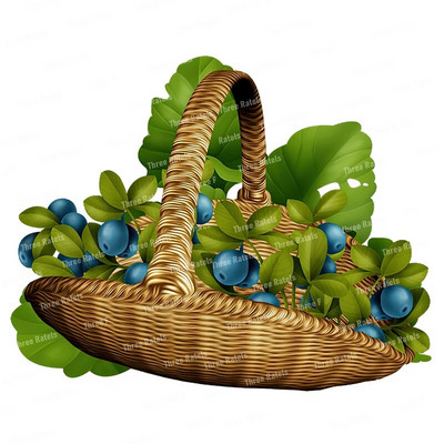 Three Ratels CO39 Pastoral spalvos vaisių krepšelio lipnus sieninis lipdukas virtuvės šaldytuvo dekoravimo lipdukas