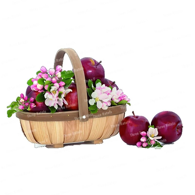 Three Ratels CO39 Pastoral spalvos vaisių krepšelio lipnus sieninis lipdukas virtuvės šaldytuvo dekoravimo lipdukas