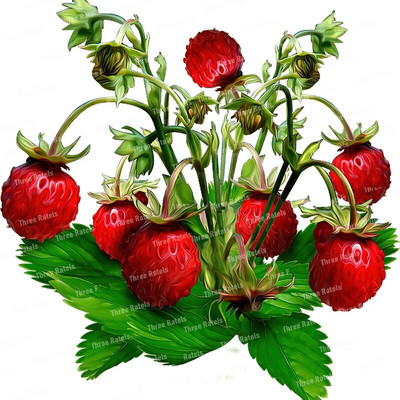 Three Ratels CO23 Bright zemeņu karikatūra augļu uzlīme virtuves ledusskapja dekoratīvā tualetes uzlīme