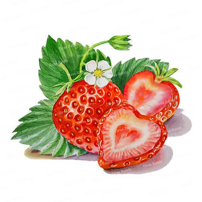 Three Ratels CO23 Bright zemeņu karikatūra augļu uzlīme virtuves ledusskapja dekoratīvā tualetes uzlīme