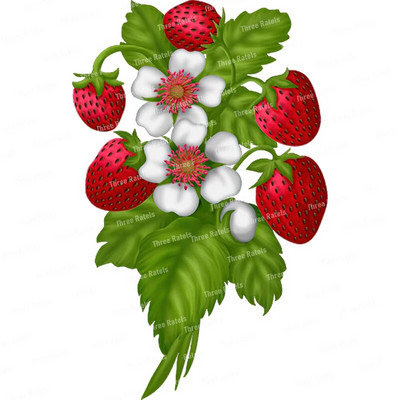 Three Ratels CO23 Bright zemeņu karikatūra augļu uzlīme virtuves ledusskapja dekoratīvā tualetes uzlīme