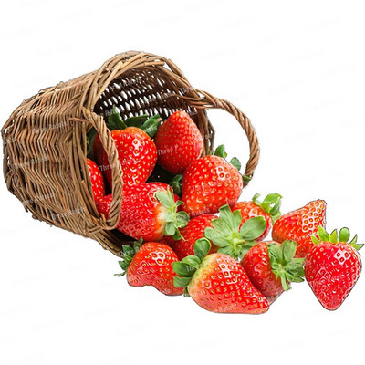 Three Ratels CO23 Bright zemeņu karikatūra augļu uzlīme virtuves ledusskapja dekoratīvā tualetes uzlīme