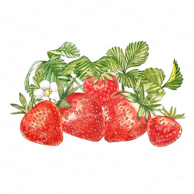 Three Ratels CO23 Bright zemeņu karikatūra augļu uzlīme virtuves ledusskapja dekoratīvā tualetes uzlīme