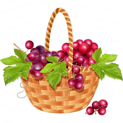 Three Ratels CO23 Bright zemeņu karikatūra augļu uzlīme virtuves ledusskapja dekoratīvā tualetes uzlīme