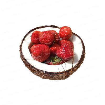 Three Ratels CO23 Bright zemeņu karikatūra augļu uzlīme virtuves ledusskapja dekoratīvā tualetes uzlīme