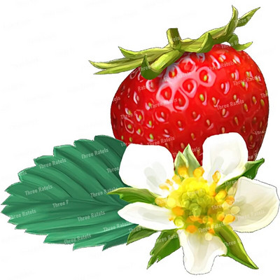 Three Ratels CO23 Bright zemeņu karikatūra augļu uzlīme virtuves ledusskapja dekoratīvā tualetes uzlīme