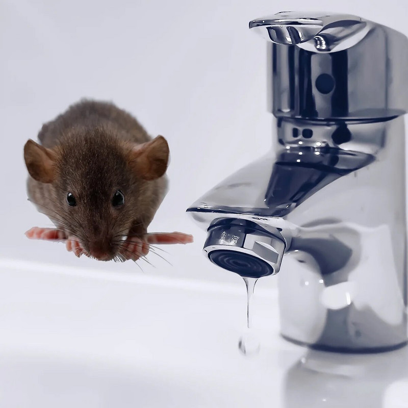 Melnas nobiedētas žurkas peles Smieklīgas tualetes uzlīmes Vannas istabas dekorācijas uzlīme 3D multfilmas peles sienas uzlīme