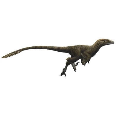 CX19 niknais dinozaurs Tyrannosaurus Rex sienas uzlīmes zēniem mājas dekorēšanai dzīvojamās istabas dāvanu uzlīmes