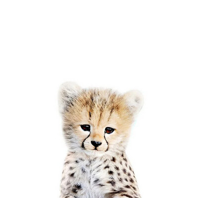 Three Ratels QCF36 Mielas triušiukas, juokingas gyvūnas, lipdukas vaikų kambario dekoravimas šaldytuvo tualeto lipdukai