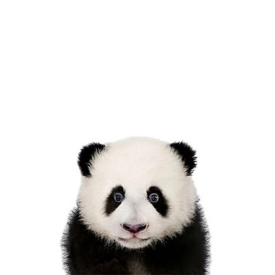 Three Ratels QCF36 Mielas triušiukas, juokingas gyvūnas, lipdukas vaikų kambario dekoravimas šaldytuvo tualeto lipdukai