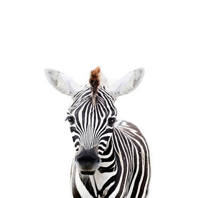 Three Ratels QCF36 Mielas triušiukas, juokingas gyvūnas, lipdukas vaikų kambario dekoravimas šaldytuvo tualeto lipdukai