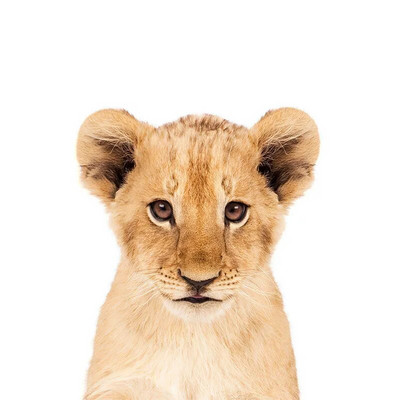 Three Ratels QCF36 Mielas triušiukas, juokingas gyvūnas, lipdukas vaikų kambario dekoravimas šaldytuvo tualeto lipdukai