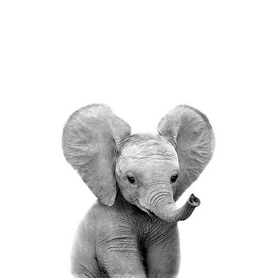 Three Ratels QCF36 Mielas triušiukas, juokingas gyvūnas, lipdukas vaikų kambario dekoravimas šaldytuvo tualeto lipdukai