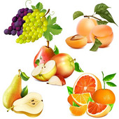 Three Ratels CC59 Ahvatlevad värskete puuviljade kleebised Köögi dekoratiivsed söögitoa kleebised