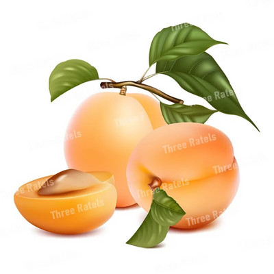 Three Ratels CC59 Ahvatlevad värskete puuviljade kleebised Köögi dekoratiivsed söögitoa kleebised