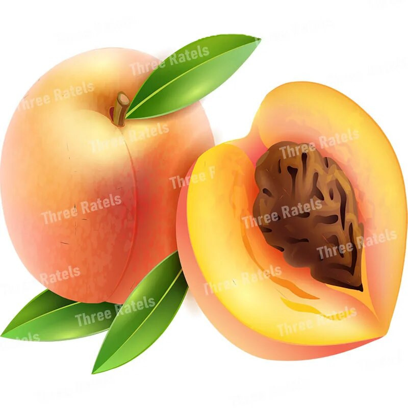 Three Ratels CC59 Ahvatlevad värskete puuviljade kleebised Köögi dekoratiivsed söögitoa kleebised
