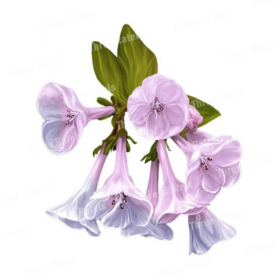 Three Ratels QCF114 Izsmalcināti skaisti ziedi istabas dekorēšanai sienas uzlīmes tualetes uzlīme