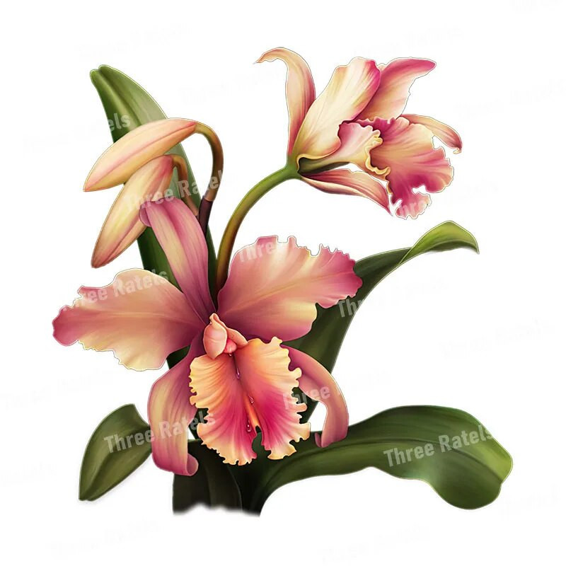 Three Ratels QCF114 Izsmalcināti skaisti ziedi istabas dekorēšanai sienas uzlīmes tualetes uzlīme