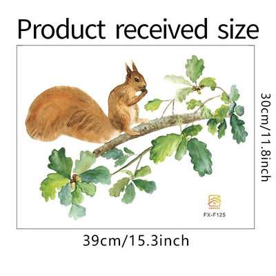 Karikatūra Meža vāvere Sienas Uzlīmes Radošas Tapetes Vāc kastaņus Bērnu istabas Bērnu istabas Klases Dekoratīvās Uzlīmes
