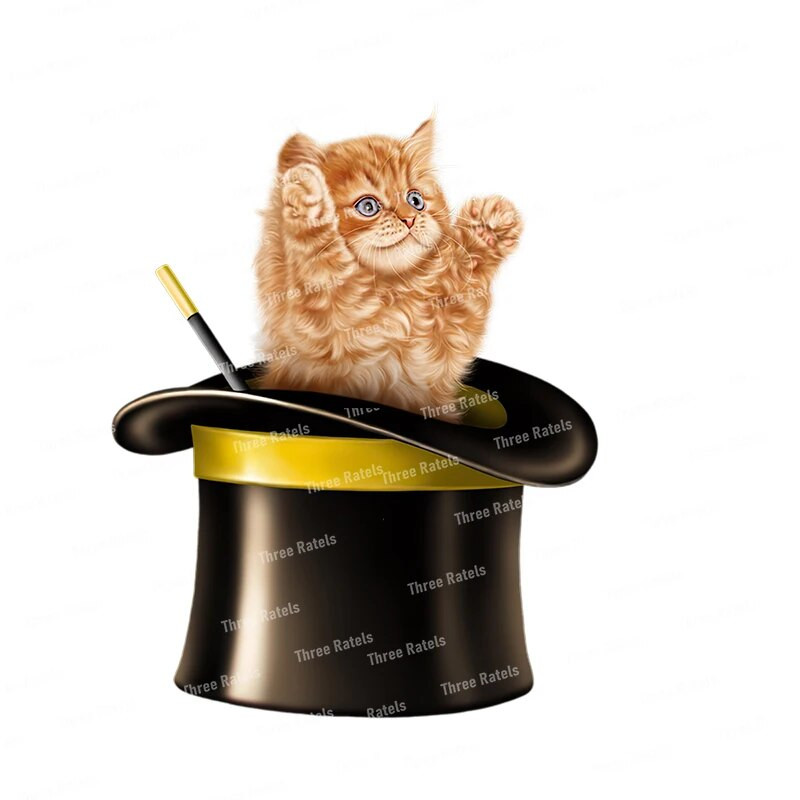 Three Ratels CM42 jauks guļošs kaķis mājas dekorēšana sienas uzlīmes bērnu guļamistabas uzlīmes tualetes uzlīmes