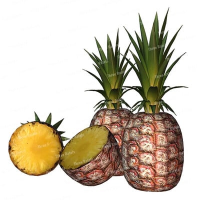 Three Ratels CO30 Arbūzu un ananāsu augļu sienas uzlīme mājas dekorēšanai Ūdensizturīga pašlīmēšana