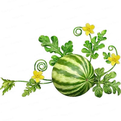 Three Ratels CO30 Arbūzu un ananāsu augļu sienas uzlīme mājas dekorēšanai Ūdensizturīga pašlīmēšana