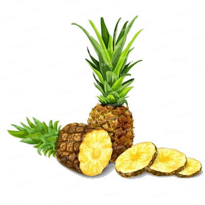 Three Ratels CO30 Arbūzu un ananāsu augļu sienas uzlīme mājas dekorēšanai Ūdensizturīga pašlīmēšana