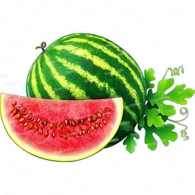 Three Ratels CO30 Arbūzu un ananāsu augļu sienas uzlīme mājas dekorēšanai Ūdensizturīga pašlīmēšana