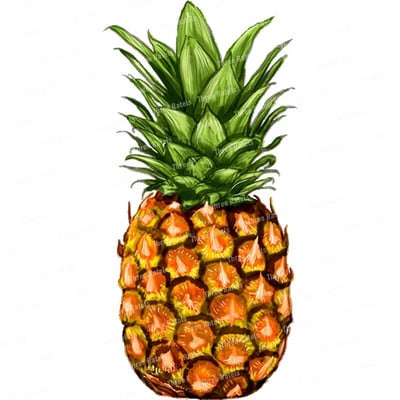 Three Ratels CO30 Arbūzu un ananāsu augļu sienas uzlīme mājas dekorēšanai Ūdensizturīga pašlīmēšana