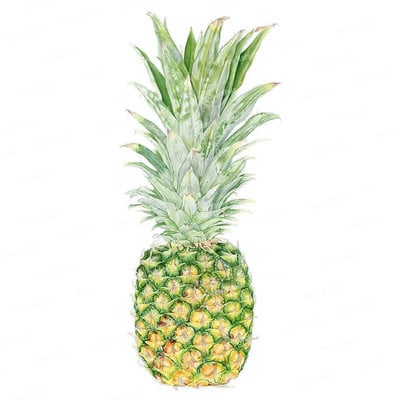 Three Ratels CO30 Arbūzu un ananāsu augļu sienas uzlīme mājas dekorēšanai Ūdensizturīga pašlīmēšana