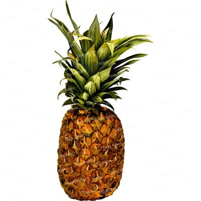 Three Ratels CO30 Arbūzu un ananāsu augļu sienas uzlīme mājas dekorēšanai Ūdensizturīga pašlīmēšana