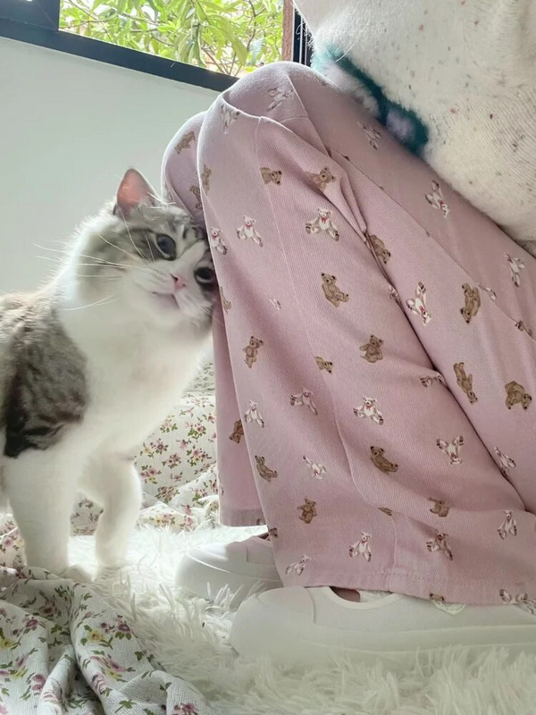 Deeptown Kawaii Cute Bear Pink Baggy Džinsi Sieviešu korejiešu Modes Liela izmēra džinsa Bikses Saldas Japāņu stila Meiteņu bikses ar platām kājām